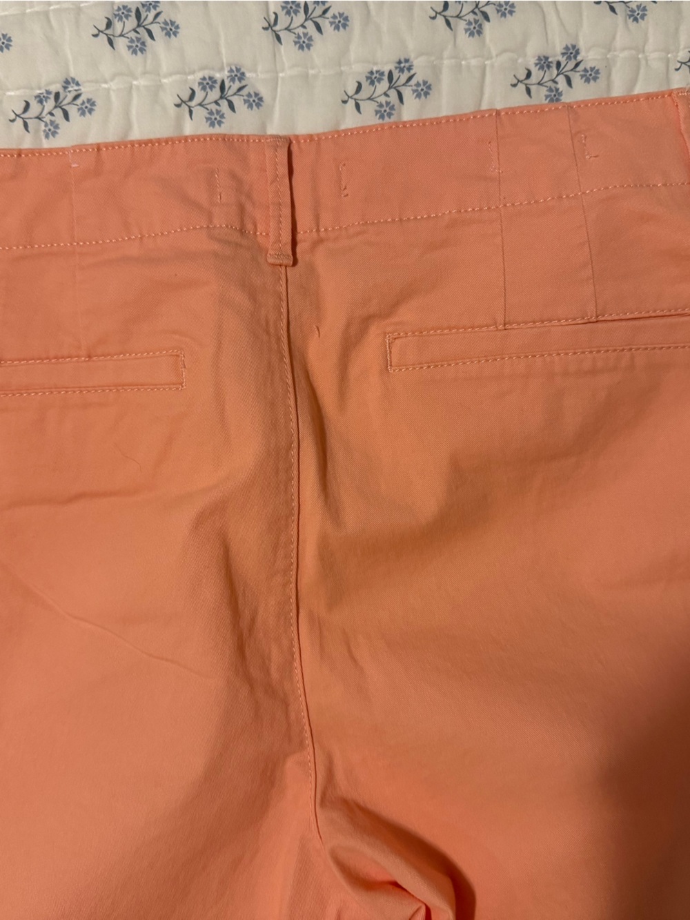 LOFT Peach Ankle Cropped Pants